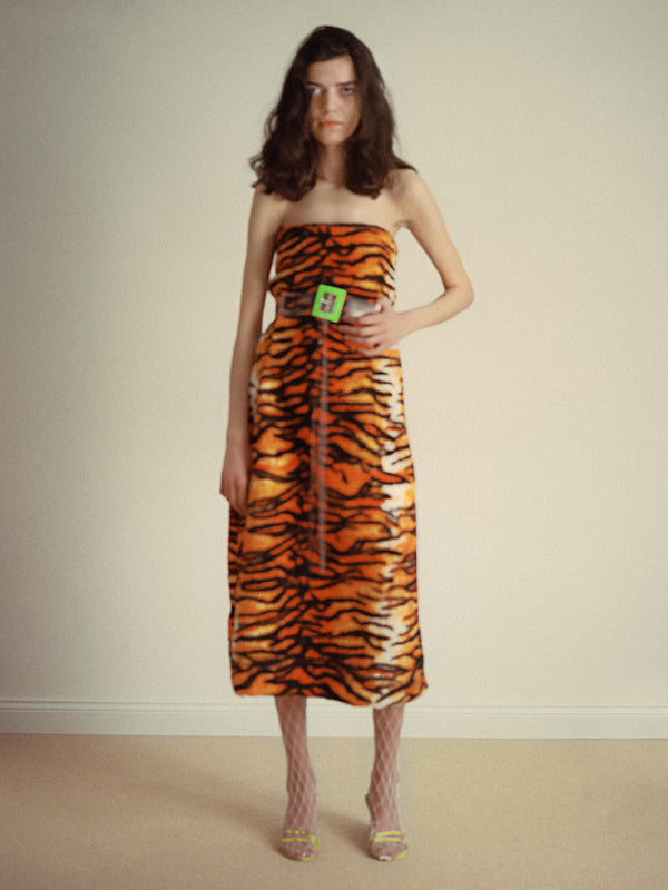 Polar Blanket Dress