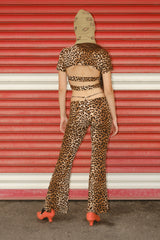 Leopard opened back top
