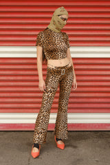 Leopard opened back top